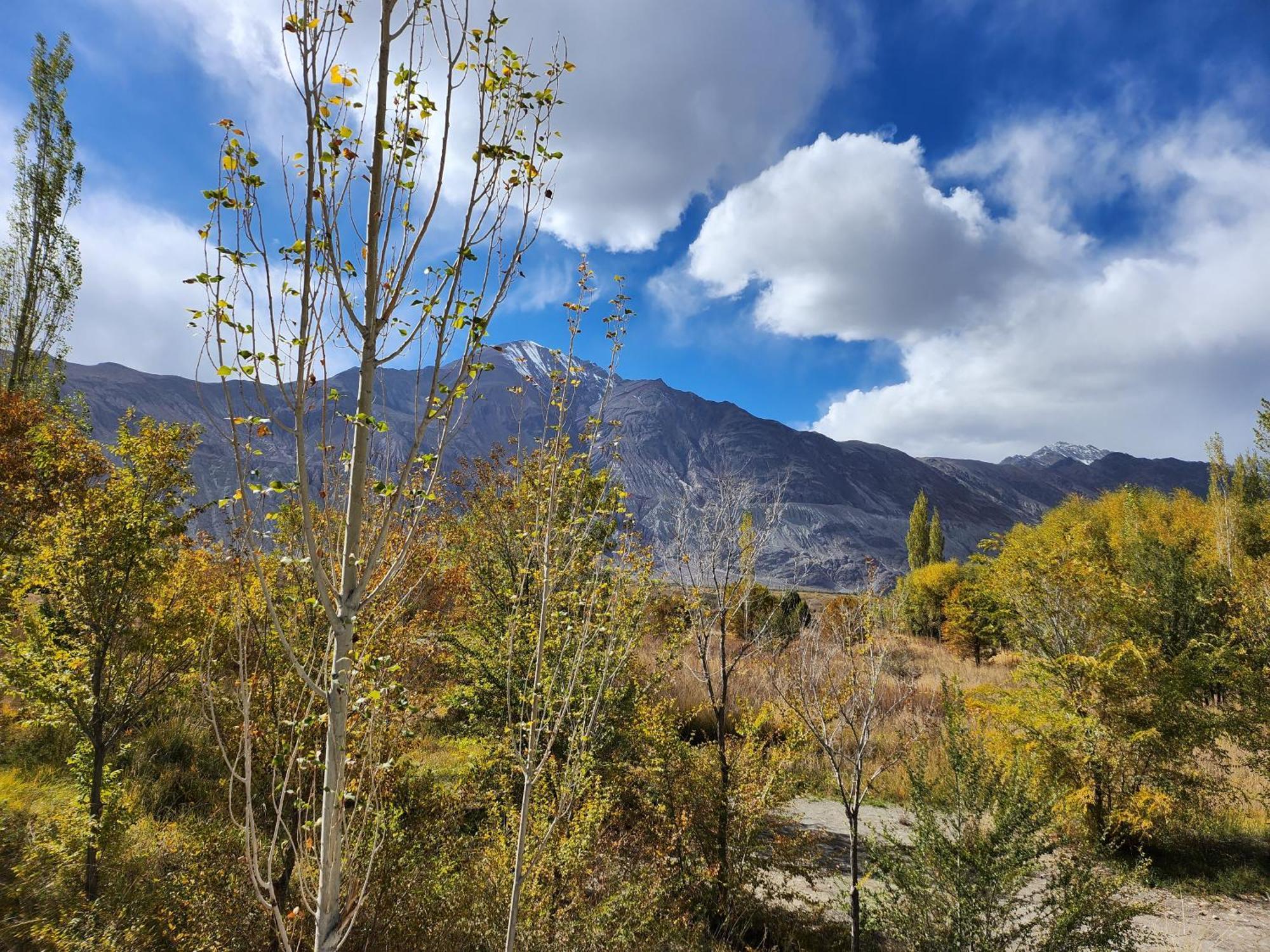 Lharimo Hotel Leh - Ladakh Zewnętrze zdjęcie